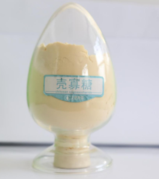 壳寡糖.png